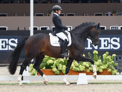 Elastic_Ermelo_llfx0117cui43_LL-Foto.de