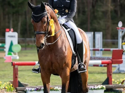Esperado_Lippstadt-Nicole_Gerhold