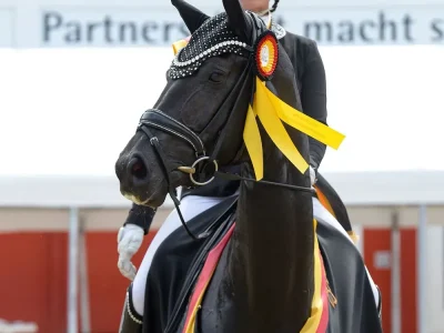 Moonriver_Bundeschampionat_1