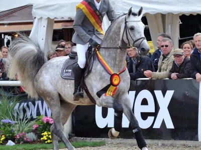 csm_WEG_1593_Caressini_WEGENER_03_3a393f72d0 (1)